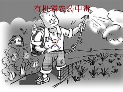 什么是有機磷農(nóng)藥殘留？食品安全檢測儀提醒您規(guī)避風險