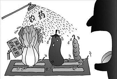 冬季，北方地區(qū)不僅要做好蔬菜儲備也要謹防農(nóng)藥殘留
